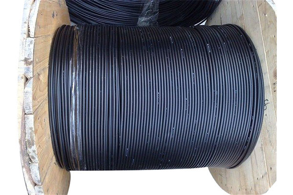 12-Core Outdoor 10G Optical Cable