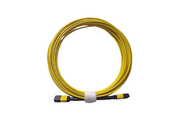 MPO/MTP Backbone Pre Terminated Optical Cable