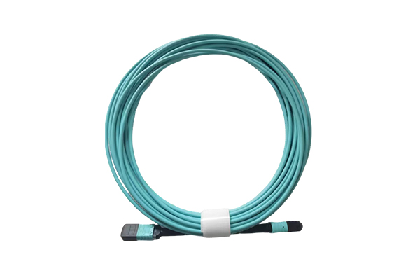 MPO/MTP Backbone Pre Terminated Optical Cable