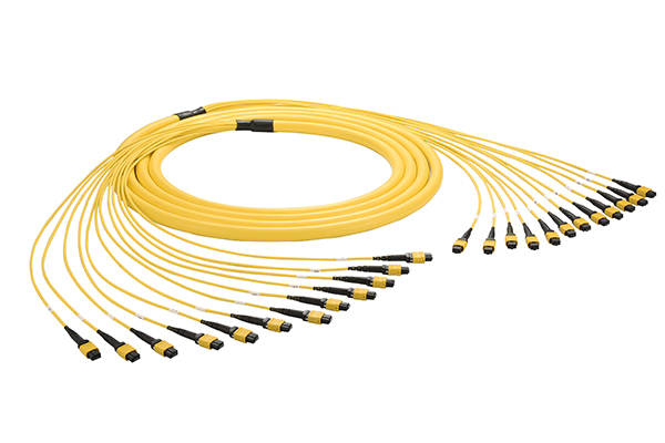 MPO/MTP Backbone Pre Terminated Optical Cable